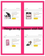Things on my Amazon wish list!