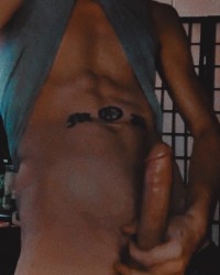 2024 cock photo
