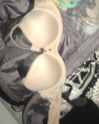 Panty raids photo