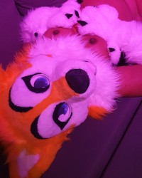 Sun - Murrsuit photo