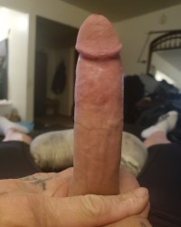 Meslut photo