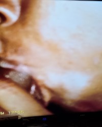 Swallow that bbc photo