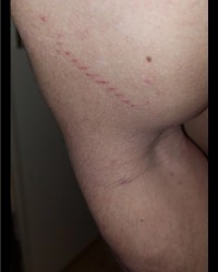 Misc, photo dump :) photo