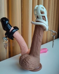 My chastity cages photo