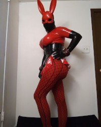 shiny rubberdoll bunny photo