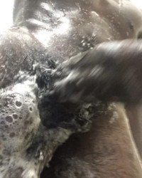 Can you take this photo