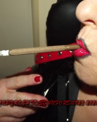 1330 SHIRLEY SLUT photo