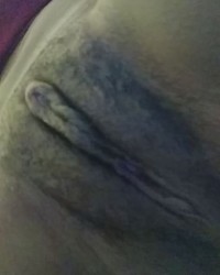 Pussy Pics photo