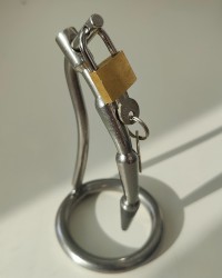 My chastity cages photo