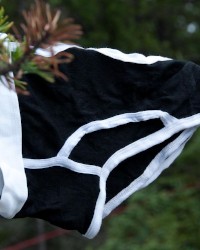 Classic Briefs photo