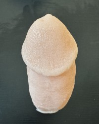 My cloned dick (clone-a-willy) photo