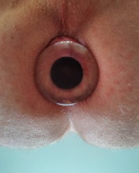 My ass photo