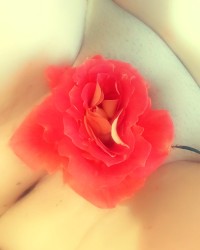 Just some new selfies with some holiday flowers for my flower!! photo