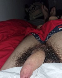 My dick collection 1 photo