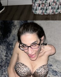 Jasmine photo