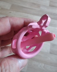 My chastity cages photo