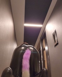 Catsuit photo