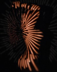 Light and Shadows photo