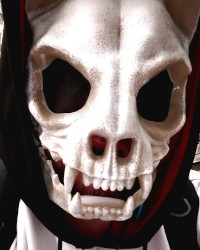 Random photo