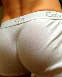 Cock Photos 2 photo