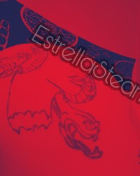 Estrella Steam photo