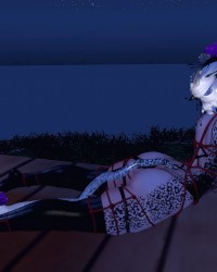 Moonlight Selfies photo