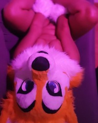 Sun - Murrsuit photo