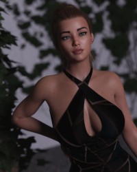 The Grey Dream photo