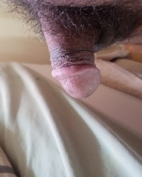 Small penis photo