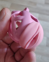 My chastity cages photo