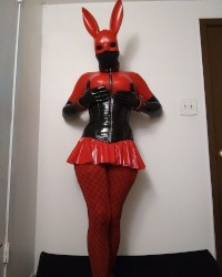 shiny rubberdoll bunny photo