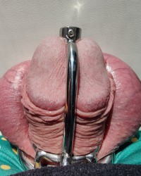 My chastity cages photo