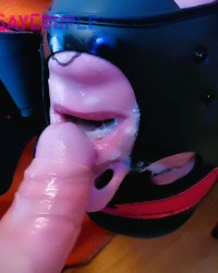 Cock and Ass photo