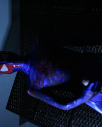 Spandex Fun (ft. wicker divider) photo