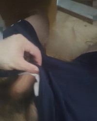 Something of all photo