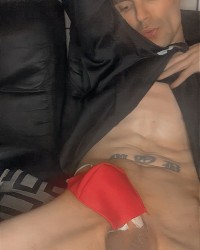 2024 cock photo