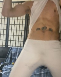 2024 cock photo