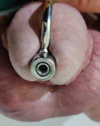 My chastity cages photo