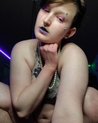 Pretty butterfly photo