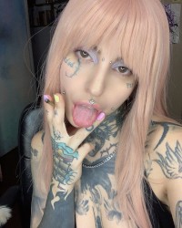 Melissa Rabbit photo