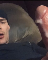 2024 cock photo