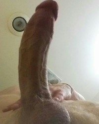 My Cock photo