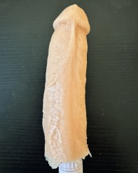 My cloned dick (clone-a-willy) photo