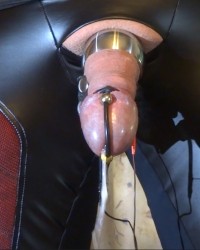 Estim electro cum milking photo