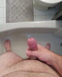 Cock Showcase photo