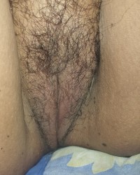 Pussy photo