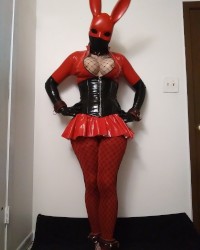shiny rubberdoll bunny photo