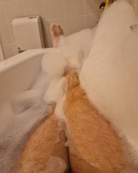 Bath time photo