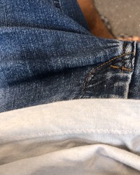 pelos no sol de manha photo