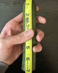 My dick compared to a 7” long 4.5”C Cucumber photo